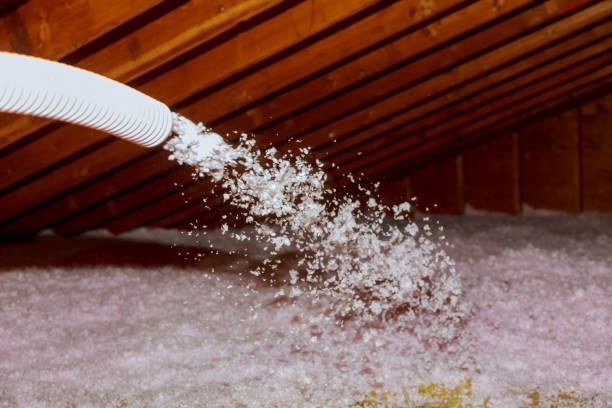 Best Insulation Contractors for Homes  in Marion, IN
